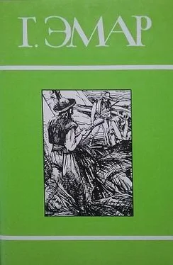 Густав Эмар Том 17. Твердая рука. Мексиканская месть обложка книги