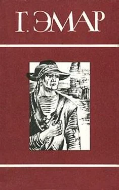 Густав Эмар Том 8. Золотая Кастилия. Медвежонок Железная Голова обложка книги