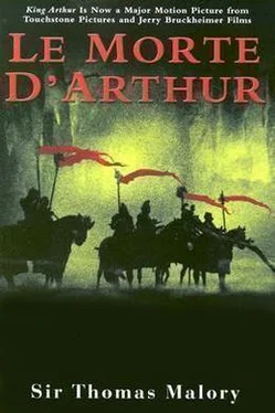 Томас Мэлори Le Mort d'Arthur обложка книги