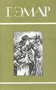 Густав Эмар Том 10. Следопыт. Перст Божий обложка книги