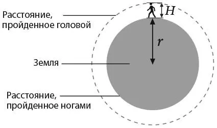 На рисунке r это радиус Земли а H рост человека По формуле длина - фото 23
