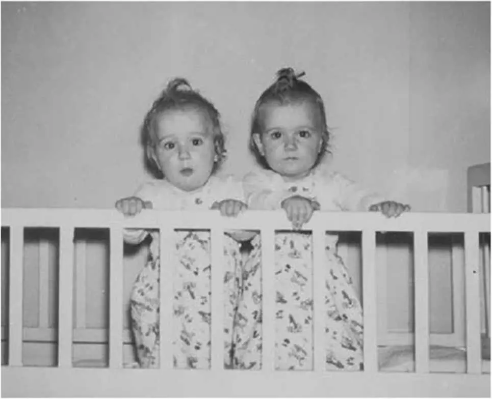 Андре и я Недалеко от границы Франции и Испании в Пиренеях мы с Андре - фото 2