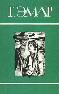 Густав Эмар Том 5. Золотая лихорадка. Курумилла обложка книги