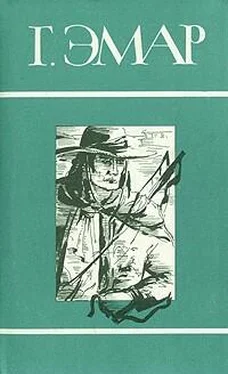 Густав Эмар Том 4. Чистое Сердце. Флибустьеры обложка книги