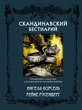 Ингела Корсель Скандинавский бестиарий обложка книги