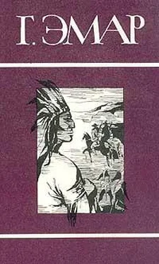 Густав Эмар Том 3. Пограничные бродяги. Вольные стрелки обложка книги