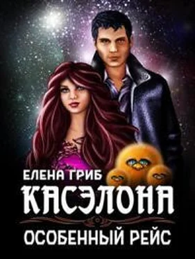 Елена Гриб Касэлона. Особенный рейс обложка книги