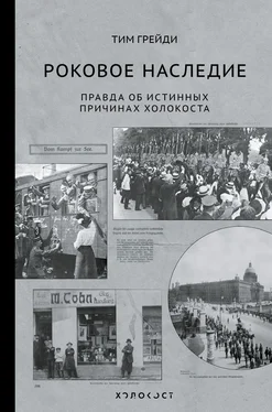 Тим Грейди Роковое наследие. Правда об истинных причинах Холокоста обложка книги