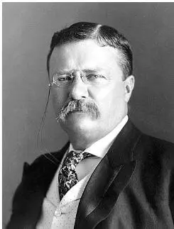 Американский политик президент США в 19011909 годах Знаменит президент не - фото 49
