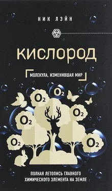 Ник Лэйн Кислород. Молекула, изменившая мир обложка книги