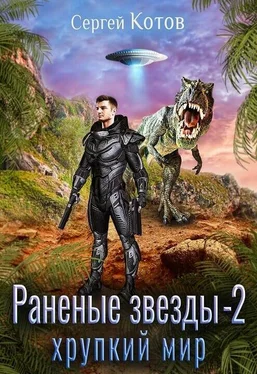 Сергей Котов Хрупкий мир [СИ] обложка книги