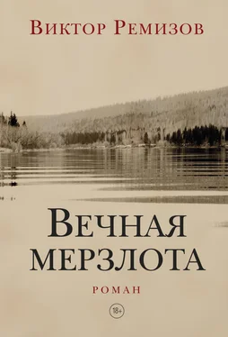 Виктор Ремизов Вечная мерзлота обложка книги