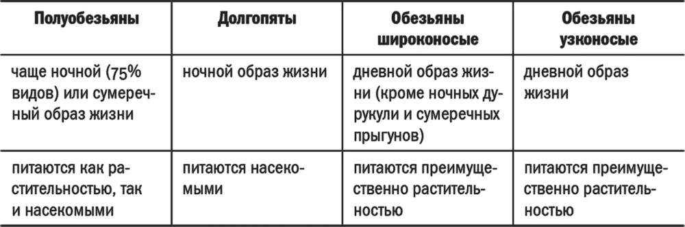 Сравнение адаписовых омомисовых и первых обезьян Сравнение ранних и истинных - фото 47