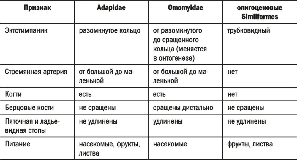 Сравнение ранних и истинных узконосых обезьян Приматы и родственные группы - фото 49