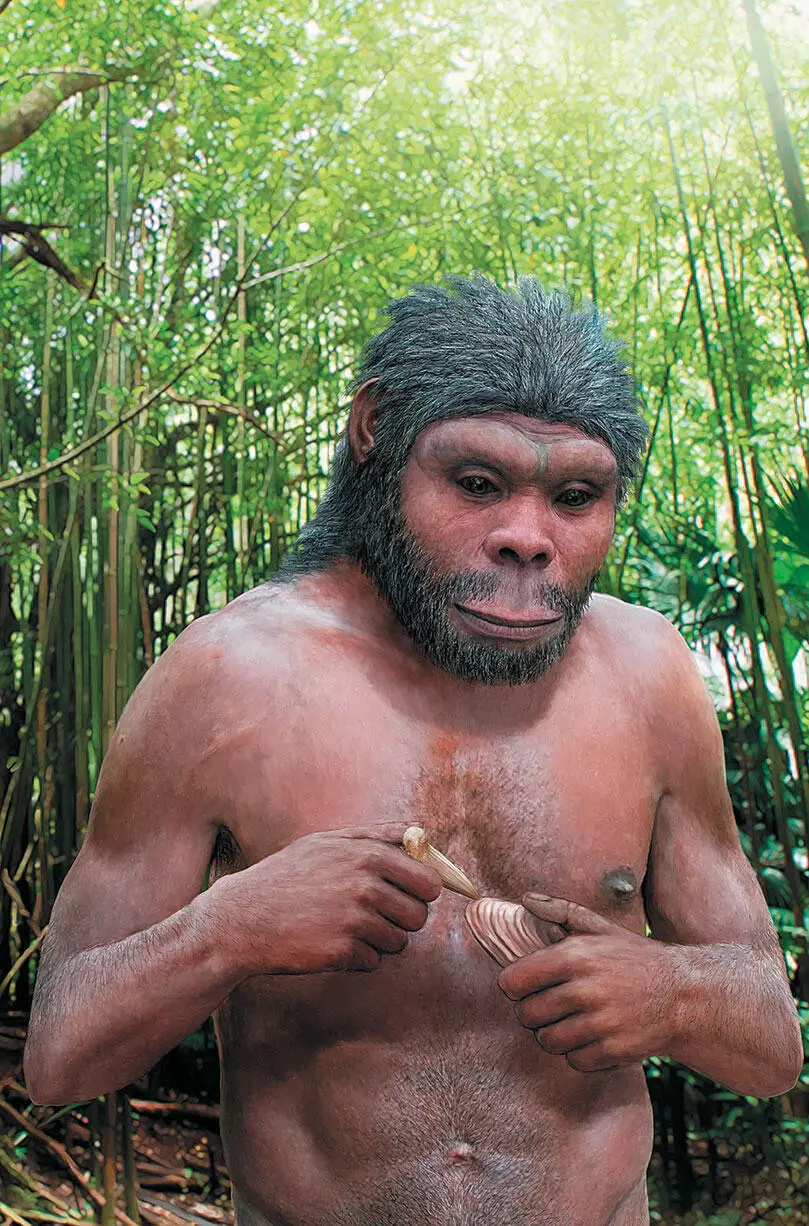 Homo erectus питекантроп ковыряет ракушку акульим зубом Ява Триниль 500 - фото 74