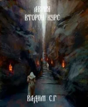 Вадим С.Г. Аврия. Второй курс [СИ] обложка книги