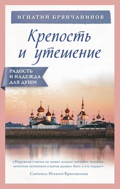 Игнатий Крепость и утешение обложка книги