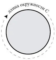 Еще одна необходимая величина радиус пиццы r который определяется как - фото 2