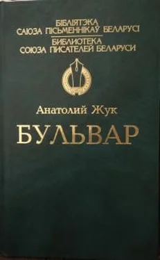 Анатолий Жук Бульвар обложка книги