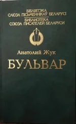 Анатолий Жук - Бульвар