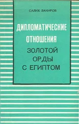 Салих Закиров - Дипломатические отношения Золотой Орды с Египтом (XIII–XIV вв.)