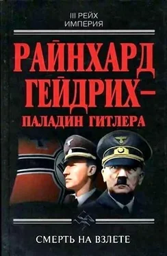 Юрий Чупров Райнхард Гейдрих — паладин Гитлера обложка книги