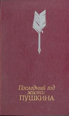 Виктор Кунин Последний год жизни Пушкина обложка книги