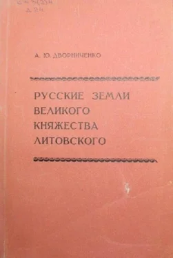 Андрей Дворниченко Русские земли Великого княжества Литовского (до начала XVI в.) обложка книги