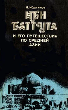 Нематулла Ибрагимов Ибн Баттута и его путешествия по средней Азии обложка книги