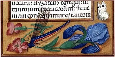 69 Часослов Да Косты Гент ок 1515 г New York The Morgan Library and - фото 77