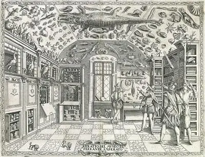 Museo di SImperato Ferrante Imperato Dell istoria naturale Libri XXVIII - фото 20