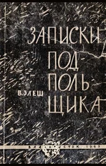 Вячеслав Элеш - Записки подпольщика