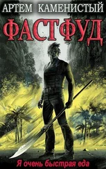 Артем Каменистый - Фастфуд [СИ]