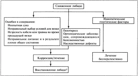 Фиг 81 Лечение кобелей демонстрирующих сниженное либидо Низкое либидо и - фото 65