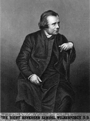 Гравюра Фотограф Дж ДжЭ Мейолл гравер Дж Дж Паунд После 1858 419 - фото 85