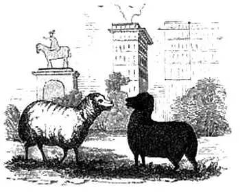 Гравюра Худ Дж Браун Опубл в изд Godwin G London Shadows A Glance at - фото 184