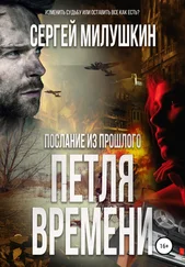 Сергей Милушкин - Послание из прошлого. Петля времени