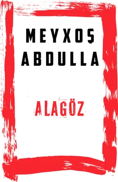 Meyxoş Abdullah Alagöz обложка книги