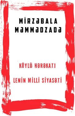 Mirzəbala Məmmədzadə Köylü hərəkatı və Lenin milli siyasəti обложка книги