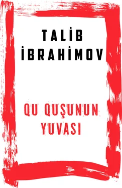 Talib İbrahimov Qu quşunun yuvası обложка книги