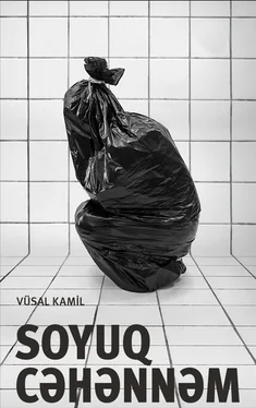 Vüsal Kamil Soyuq cəhənnəm обложка книги