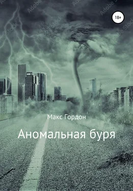 Макс Гордон Аномальная буря обложка книги