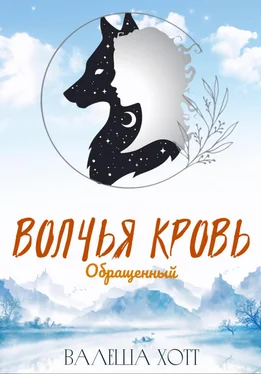 Валеша Хотт Волчья кровь обложка книги