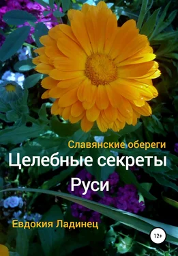 Евдокия Ладинец Целебные секреты Руси. Славянские обереги обложка книги