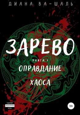 Диана Ва-Шаль Зарево. Оправдание хаоса обложка книги