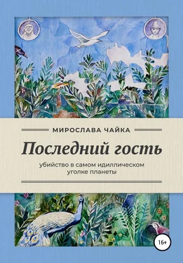 Ирина Бойко Последний гость обложка книги