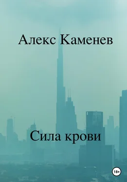 Алекс Каменев Сила крови обложка книги