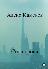 Алекс Каменев - Сила крови