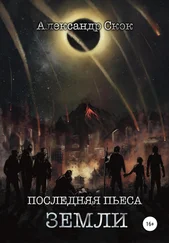 Александр Скок - Последняя пьеса Земли