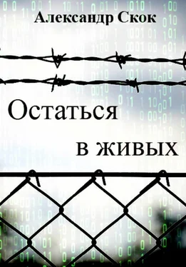 Александр Скок Остаться в живых обложка книги